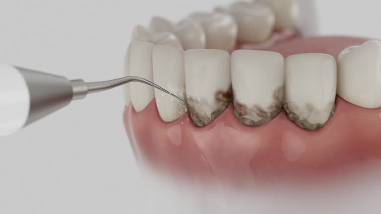 Reliable Dental contractor in Goulding, FL by Dentist Open Now